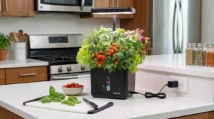 indoor-garden-growing-system-auto-timer-herbs-harvest.webp